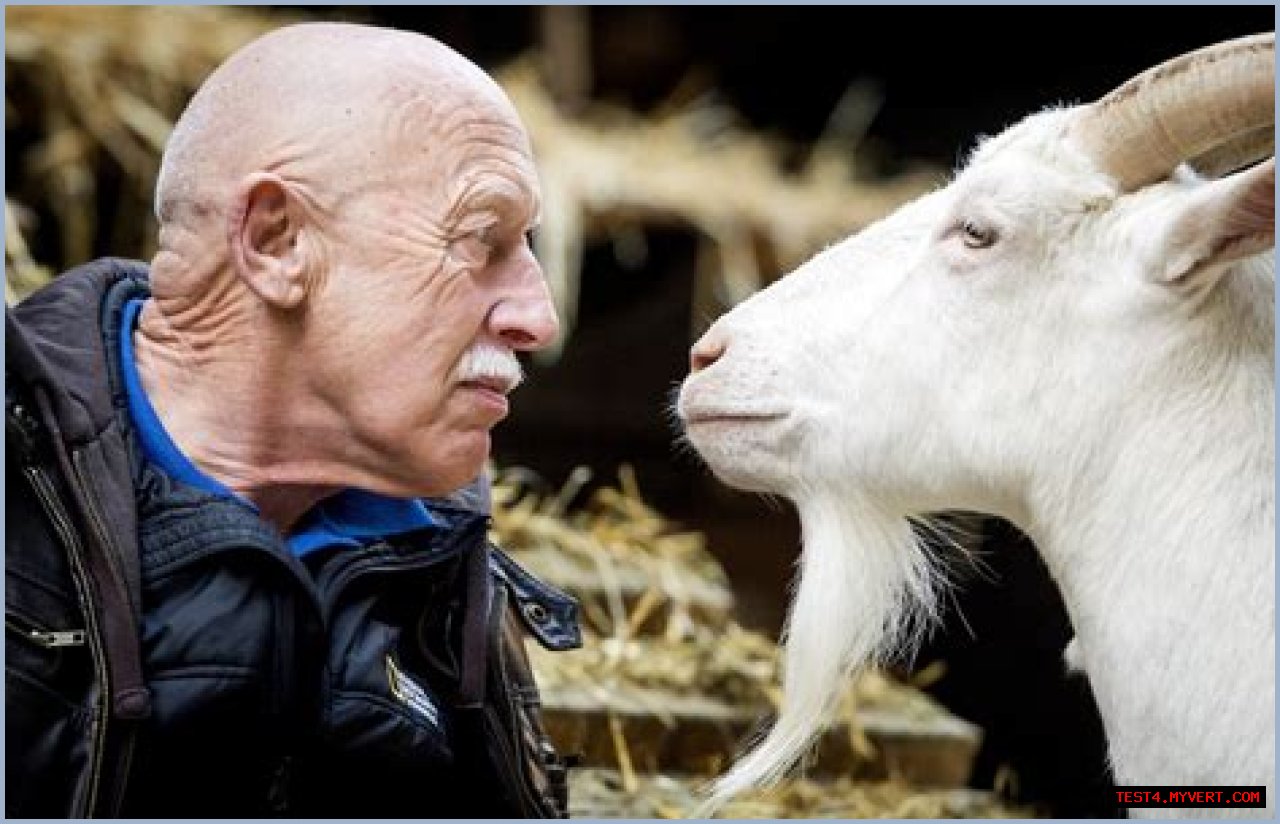 Is Dr. Pol Retired? The Truth Behind The Beloved Veterinarian