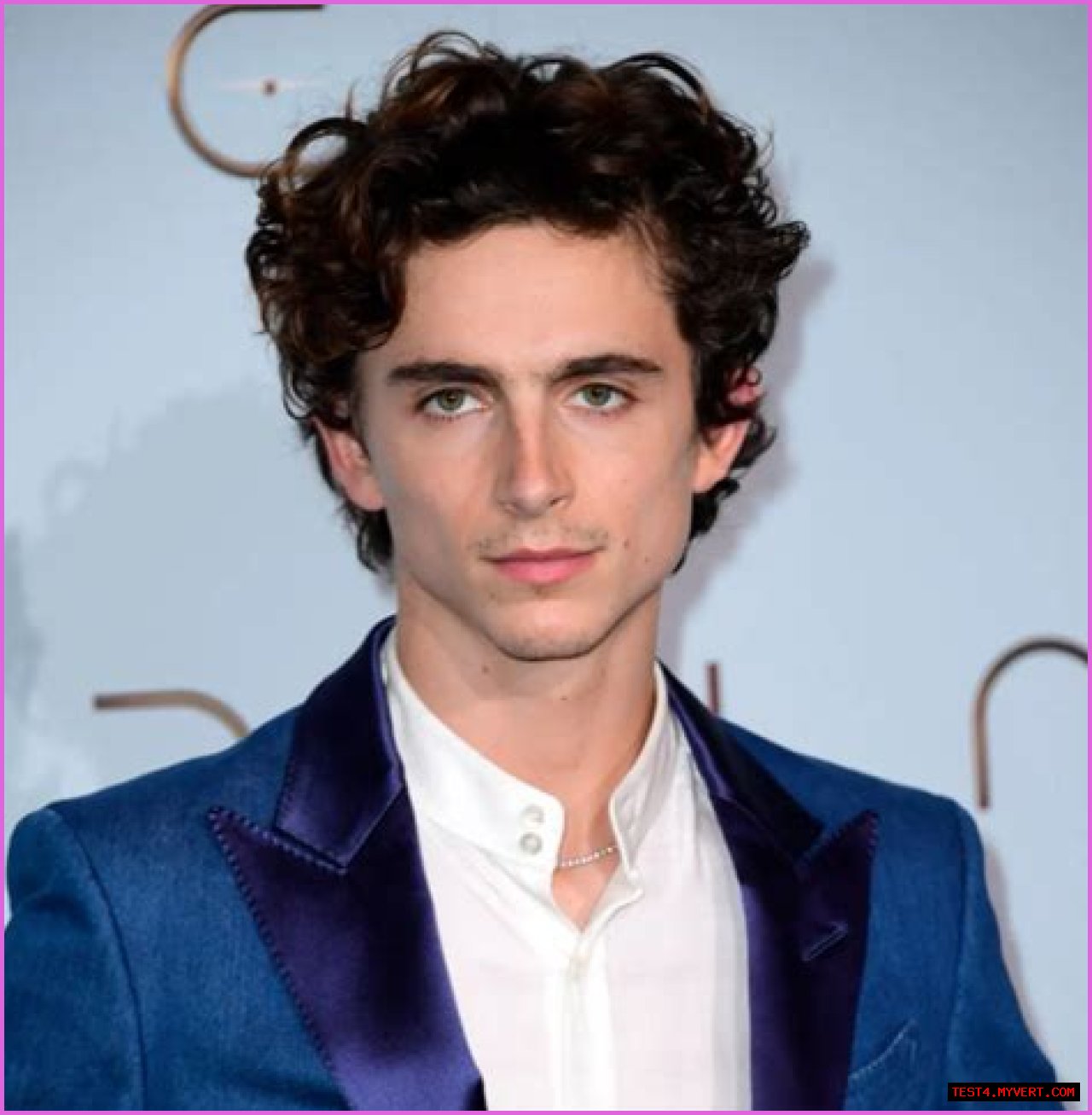Timothée Chalamet: Weight And Height Insights